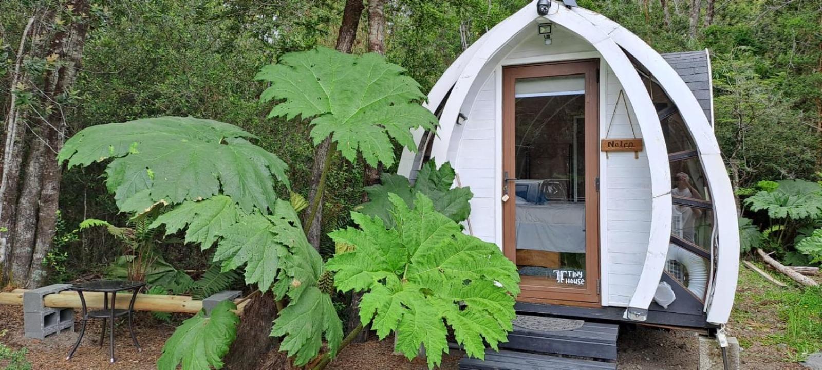 Cabanas Los Volcanes Ensenada Puerto Varas 外观 照片
